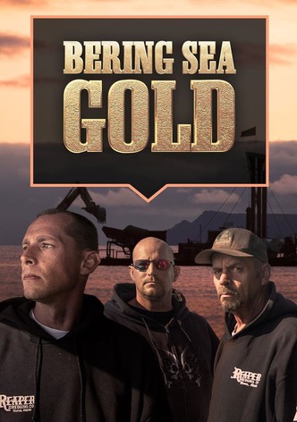 Goldtaucher der Beringsee Goldtaucher der Beringsee Staffel 8