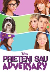 Prieteni sau adversary