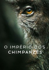 O Império dos Chimpanzés