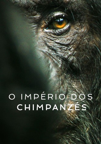 O Império dos Chimpanzés