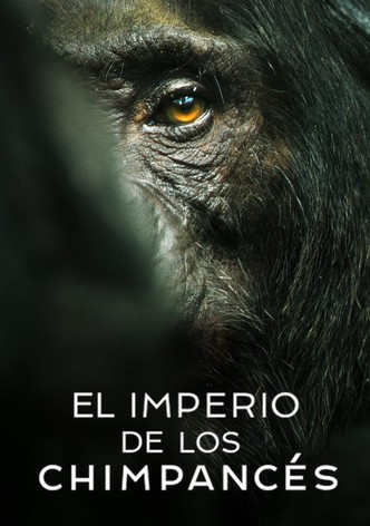 El imperio de los chimpancés