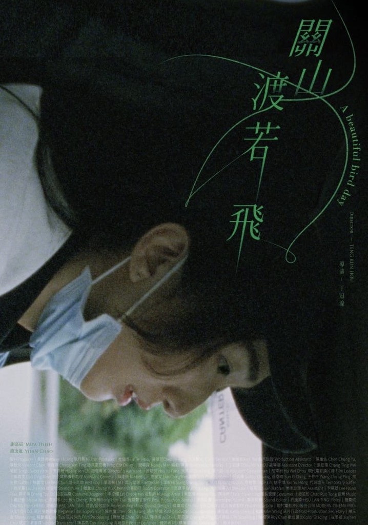 A Beautiful Bird Day