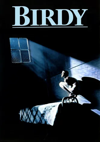 Birdy poster