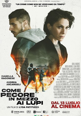 Come pecore in mezzo ai lupi