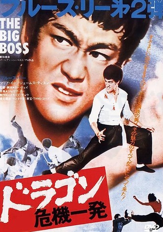 ドラゴン危機一発