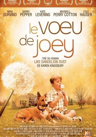 Le voeu de Joey