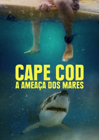 Cape Cod: A Ameaça dos Mares