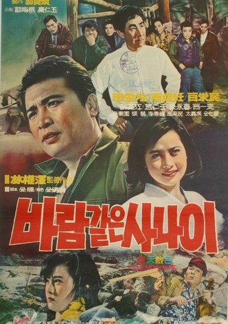 바람같은 사나이