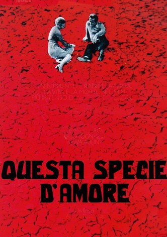 Questa specie d'amore