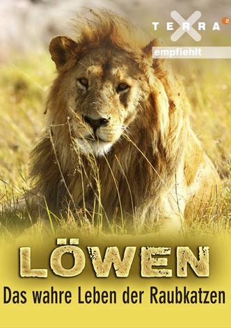 Pride: Ruler's at Risk