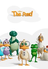 Life at the Pond