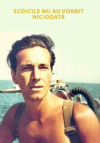 Shells Have Never Spoken