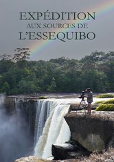 Zu den Quellen des Essequibo