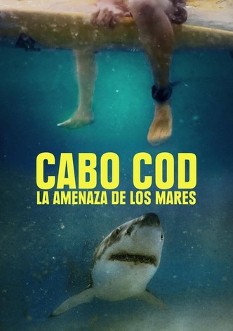 Los tiburones del Cabo Cod