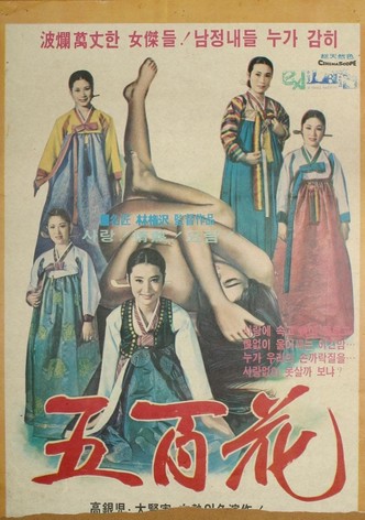 장안명기 오백화