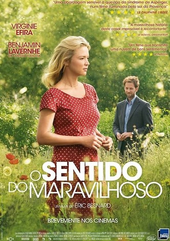 O Sentido do Maravilhoso