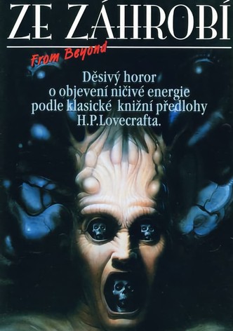 Ze záhrobí