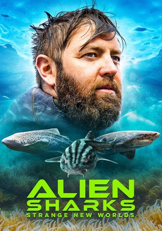 Tubarões Pré-Históricos: Novos Mundos