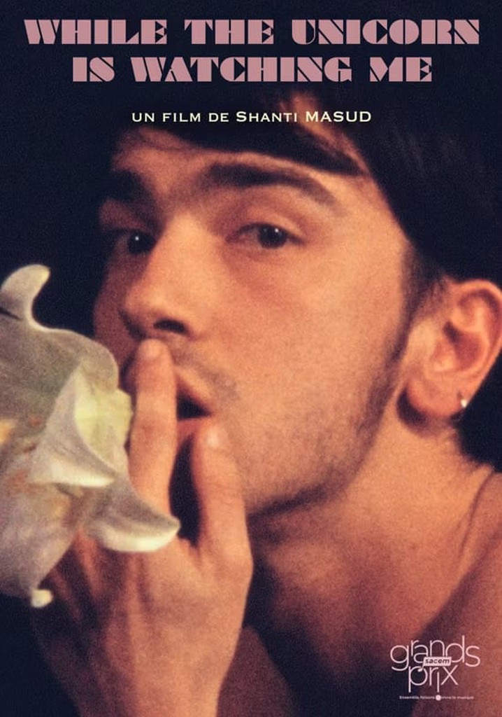 While the Unicorn Is Watching Me