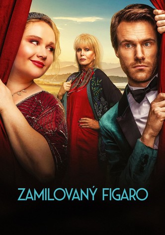 Zamilovaný Figaro