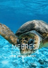 Meeresschildkröten - Eine ungewisse Zukunft