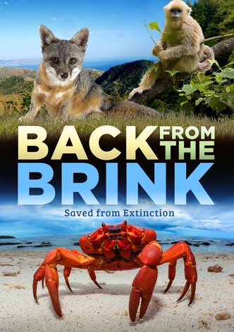 Back from the Brink: Saved from Extinction