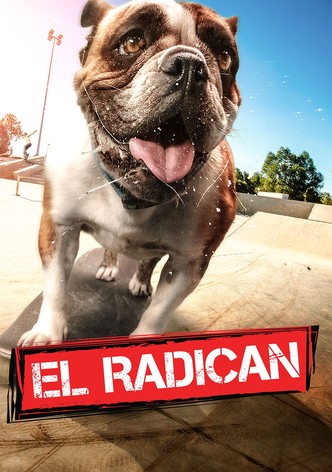 El radican
