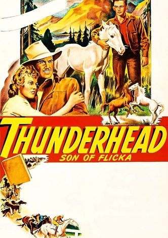 Le Fils de Flicka - Thunderhead