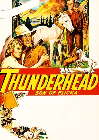 Thunderhead: Son of Flicka