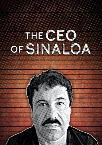 The CEO of Sinaloa