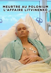 Litvinenko