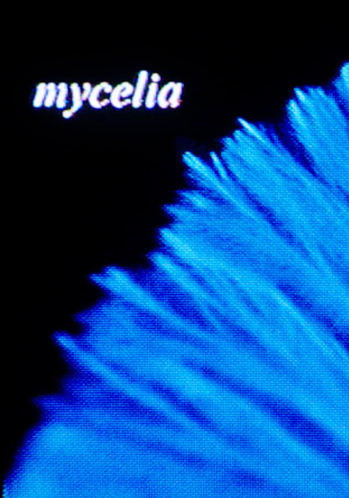 Mycelia