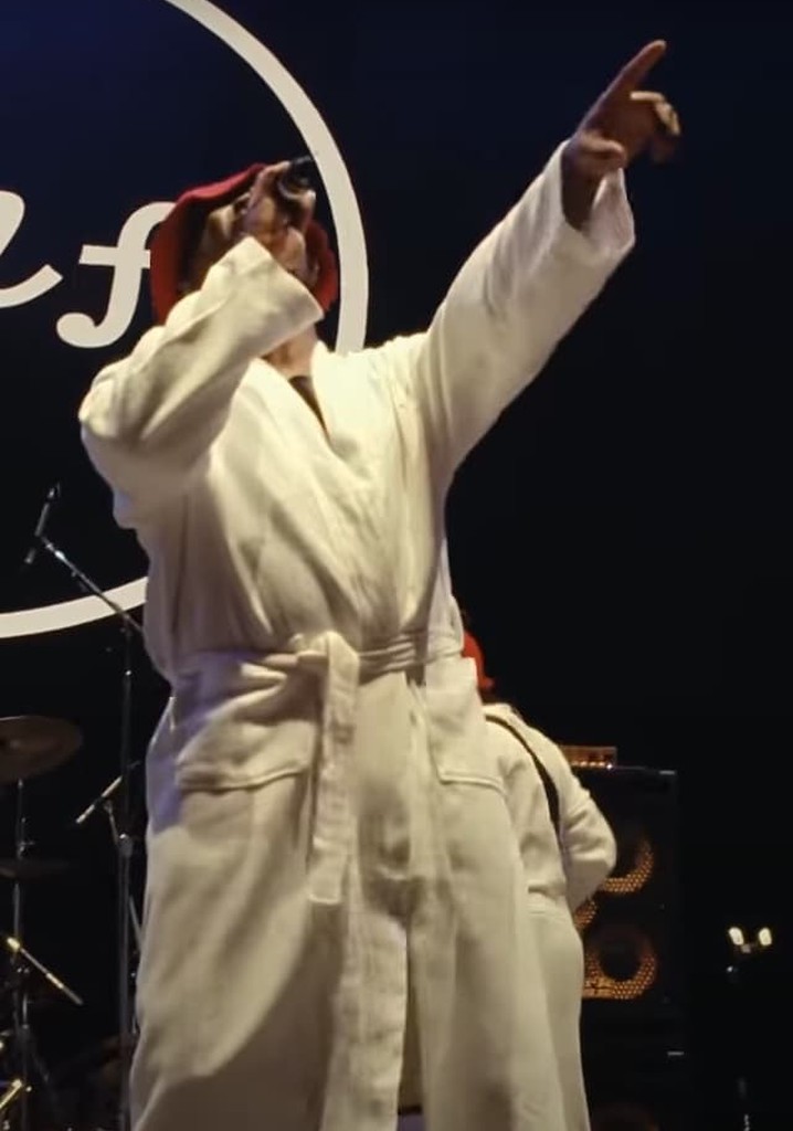 Vulfpeck Live at Bonnaroo