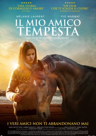 Il mio amico Tempesta