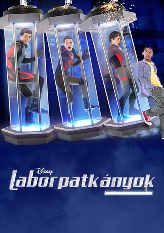 Laborpatkányok