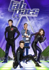 Lab Rats
