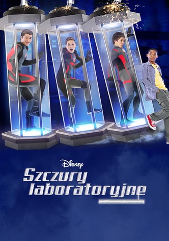 Szczury laboratoryjne
