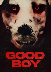 Good Boy movie where to watch streaming online