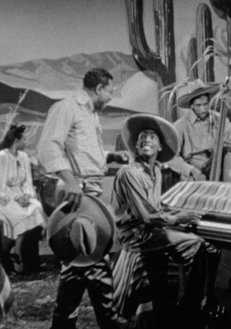 Along the Navajo Trail