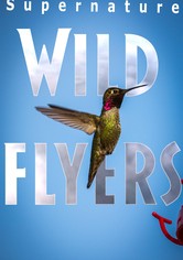 Life in the Air - Miniseries