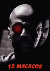 12 Macacos