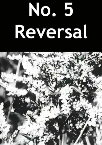 No. 5 Reversal