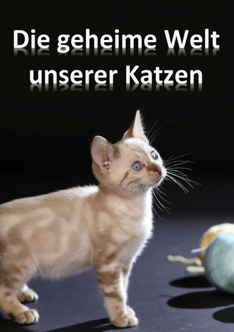 Die geheime Welt unserer Katzen