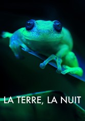 La Terre, La Nuit