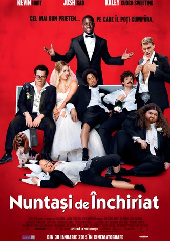 Nuntași de închiriat