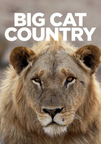 Big Cat Country