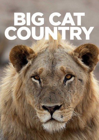 Big Cat Country