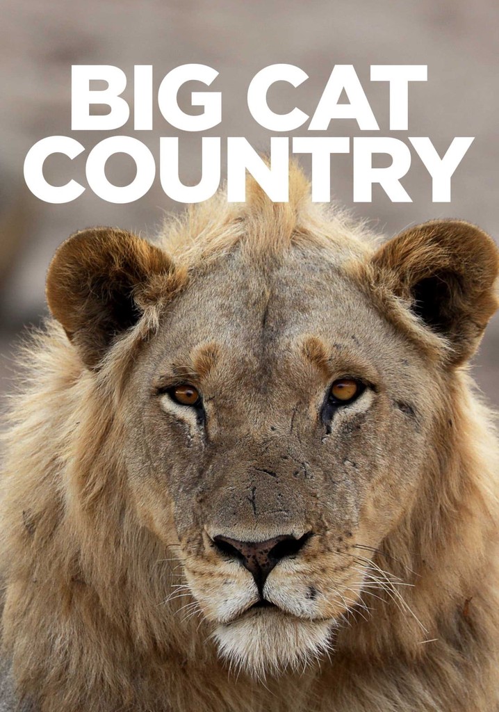 Big Cat Country - streaming tv show online