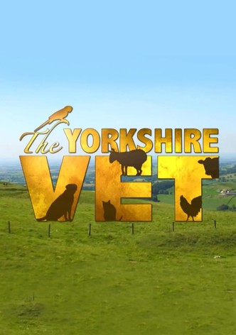 The Yorkshire Vet