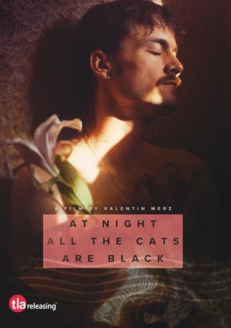 At Night All the Cats Are Black